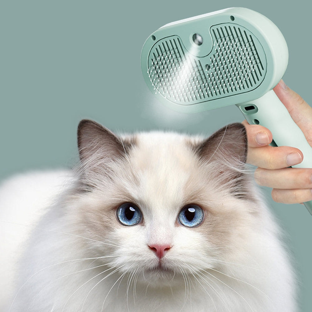 SteamBrush™ - Brosse de massage vapeur